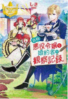 为美好的世界献上祝福 爆焰 封面